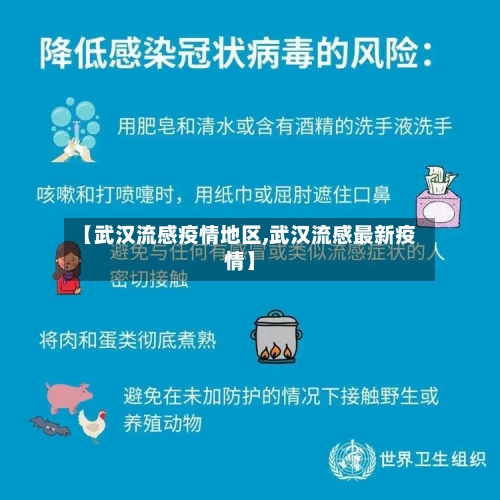 【武汉流感疫情地区,武汉流感最新疫情】