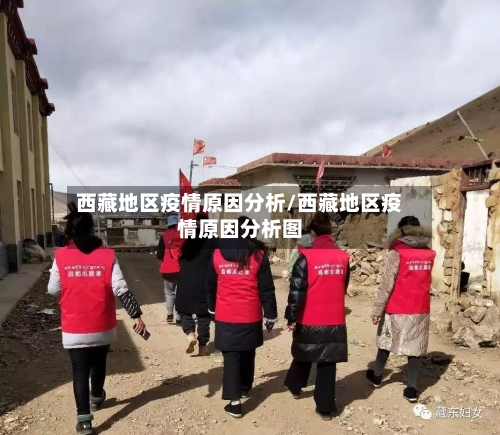 西藏地区疫情原因分析/西藏地区疫情原因分析图