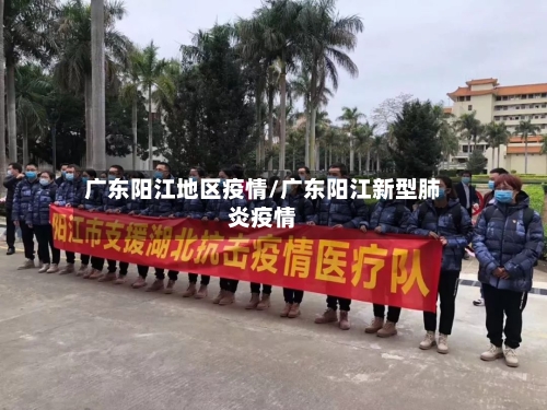 广东阳江地区疫情/广东阳江新型肺炎疫情
