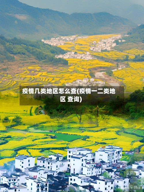 疫情几类地区怎么查(疫情一二类地区 查询)