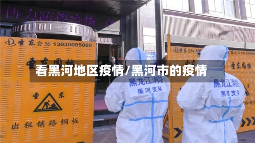 看黑河地区疫情/黑河市的疫情-第2张图片