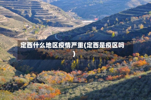 定西什么地区疫情严重(定西是疫区吗)