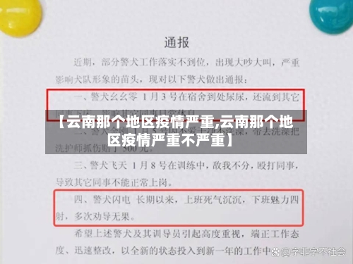 【云南那个地区疫情严重,云南那个地区疫情严重不严重】