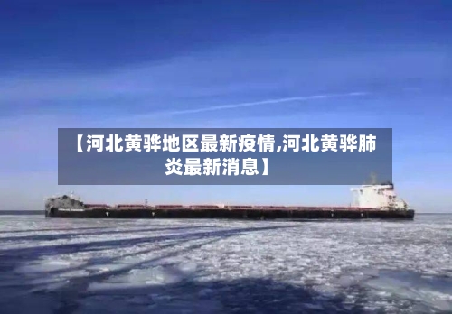 【河北黄骅地区最新疫情,河北黄骅肺炎最新消息】