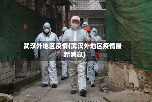 武汉外地区疫情(武汉外地区疫情最新消息)