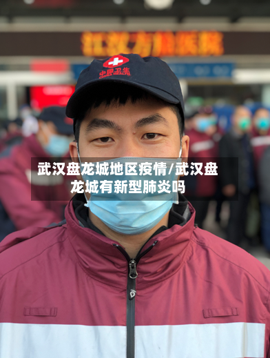 武汉盘龙城地区疫情/武汉盘龙城有新型肺炎吗