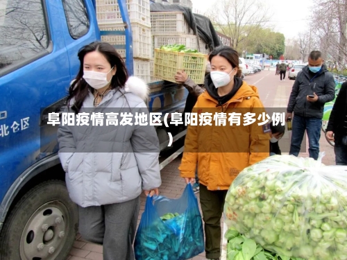 阜阳疫情高发地区(阜阳疫情有多少例)-第3张图片