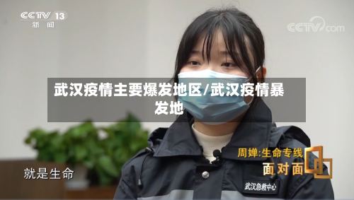 武汉疫情主要爆发地区/武汉疫情暴发地